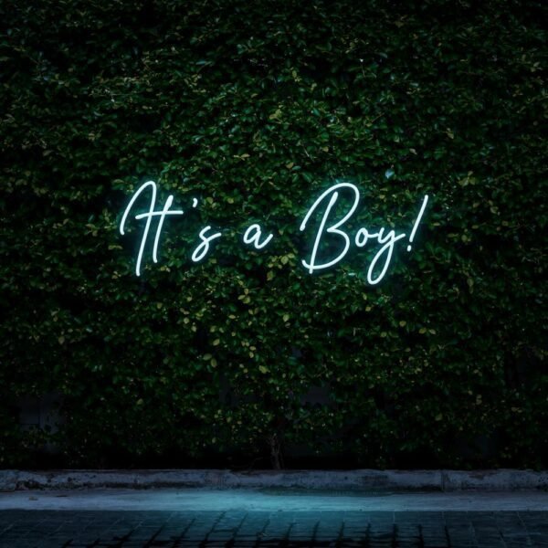 its a boy neon sign